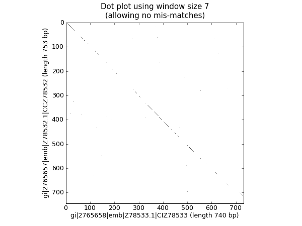 Nucleotide dot plot of two orchid sequences using image show.
