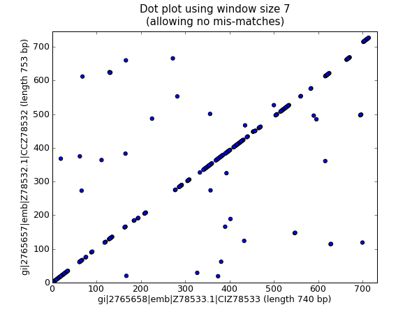 Nucleotide dot plot of two orchid sequences using scatter.